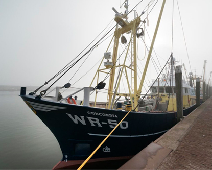 WR-50 Concordia Moored in Den Oever