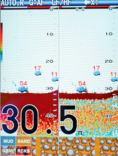 Accu-Fish identifies individual fish with size & fish mark function